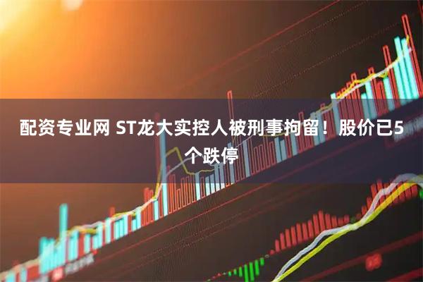 配资专业网 ST龙大实控人被刑事拘留！股价已5个跌停
