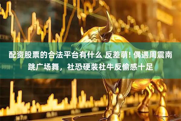 配资股票的合法平台有什么 反差萌! 偶遇周震南跳广场舞，社恐硬装社牛反偷感十足