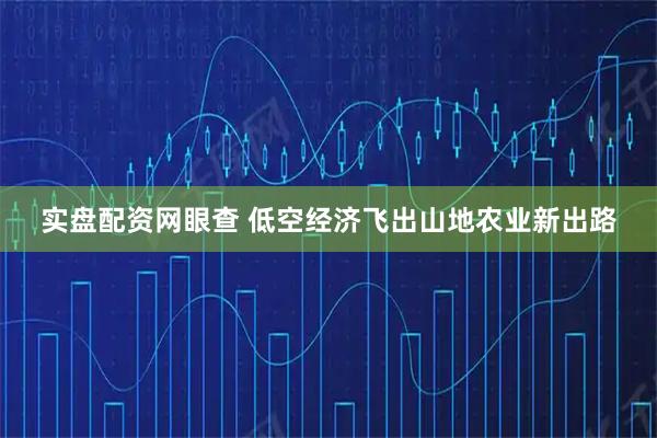 实盘配资网眼查 低空经济飞出山地农业新出路